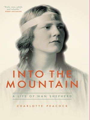 cover image of Into the Mountain